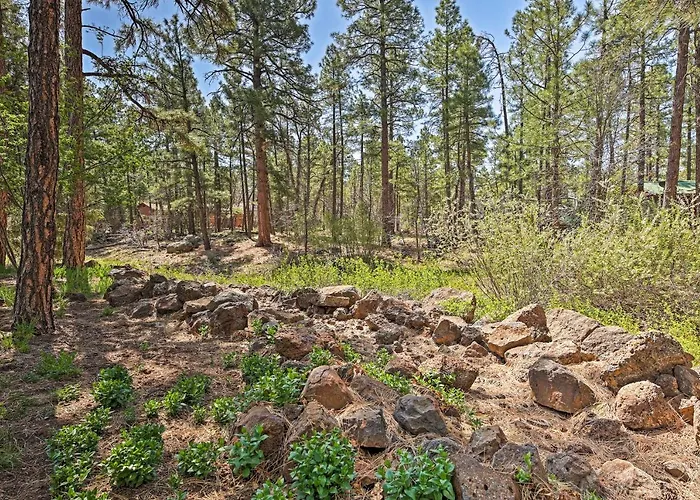 2 Decks & Game Room: Expansive Family * Pinetop-Lakeside